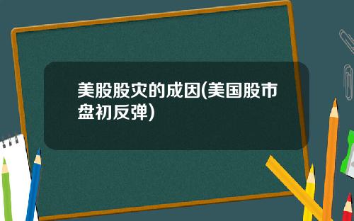 美股股灾的成因(美国股市盘初反弹)