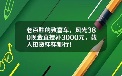 老百姓的致富车，风光380现金直接补3000元，载人拉货样样都行！