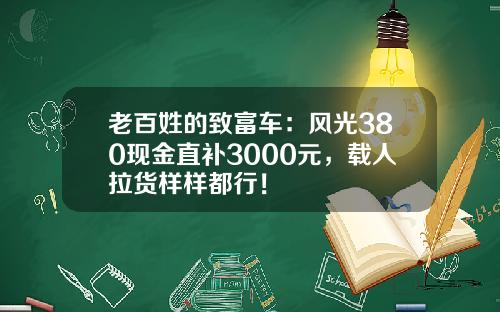 老百姓的致富车：风光380现金直补3000元，载人拉货样样都行！