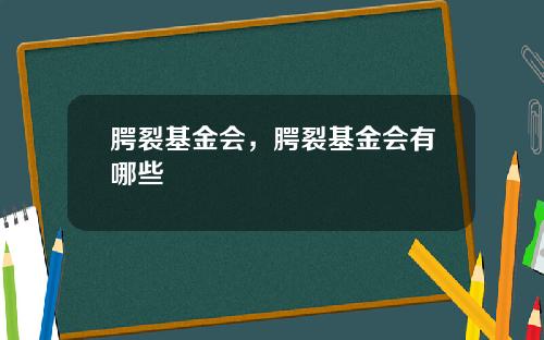 腭裂基金会，腭裂基金会有哪些