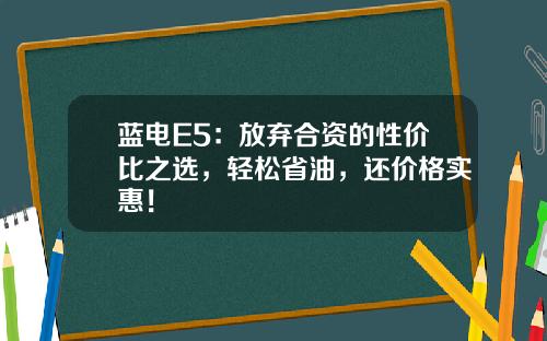 蓝电E5：放弃合资的性价比之选，轻松省油，还价格实惠！