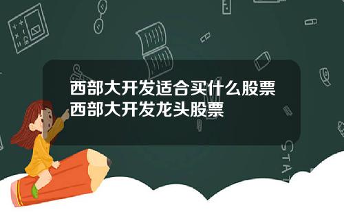 西部大开发适合买什么股票西部大开发龙头股票
