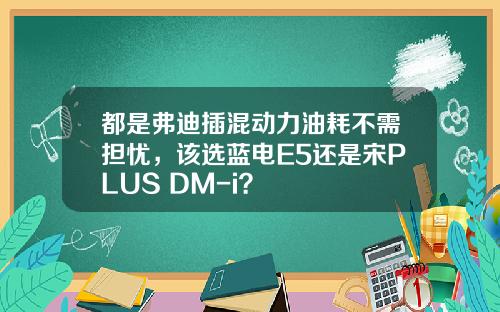 都是弗迪插混动力油耗不需担忧，该选蓝电E5还是宋PLUS DM-i？