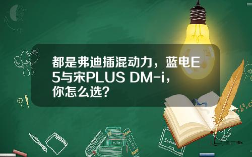 都是弗迪插混动力，蓝电E5与宋PLUS DM-i，你怎么选？