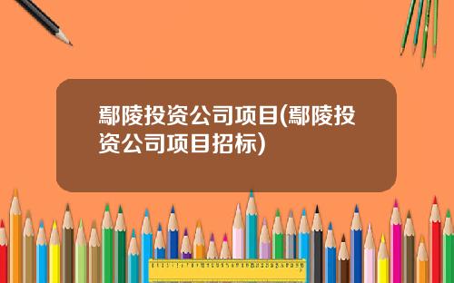 鄢陵投资公司项目(鄢陵投资公司项目招标)