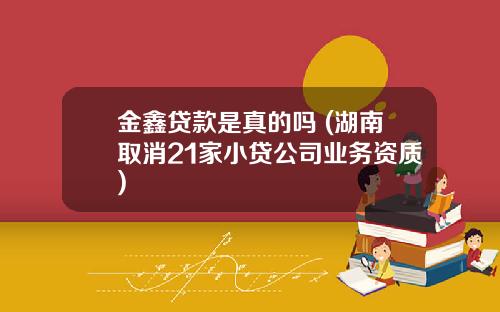 金鑫贷款是真的吗 (湖南取消21家小贷公司业务资质)