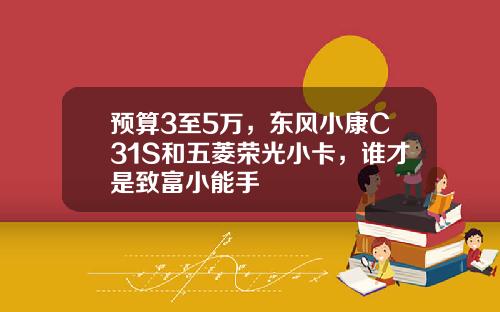 预算3至5万，东风小康C31S和五菱荣光小卡，谁才是致富小能手
