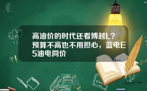 高油价的时代还看博越L？预算不高也不用担心，蓝电E5油电同价
