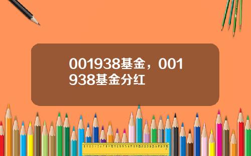 001938基金，001938基金分红