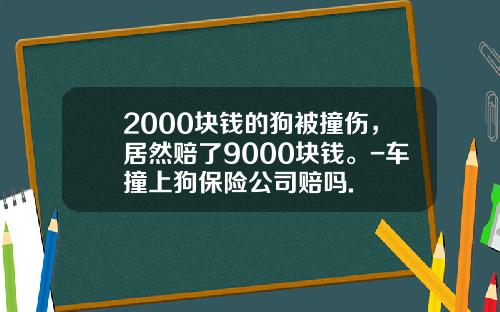 2000块钱的狗被撞伤，居然赔了9000块钱。-车撞上狗保险公司赔吗.