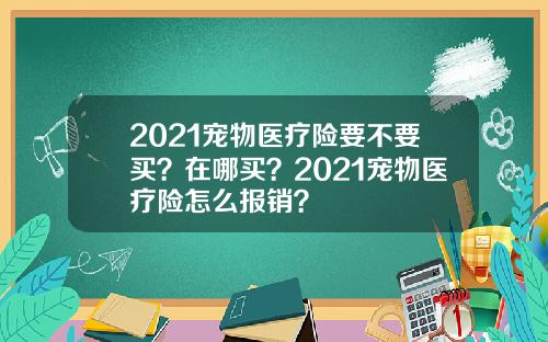 2021宠物医疗险要不要买？在哪买？2021宠物医疗险怎么报销？