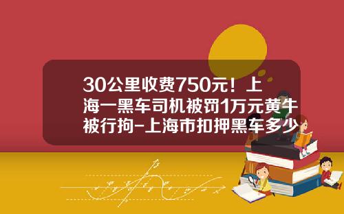 30公里收费750元！上海一黑车司机被罚1万元黄牛被行拘-上海市扣押黑车多少钱一天