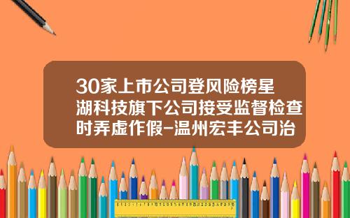 30家上市公司登风险榜星湖科技旗下公司接受监督检查时弄虚作假-温州宏丰公司治理结构问题
