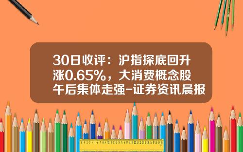 30日收评：沪指探底回升涨0.65%，大消费概念股午后集体走强-证券资讯晨报股票池