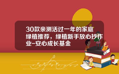 30款亲测活过一年的家庭绿植推荐，绿植新手放心抄作业-安心成长基金