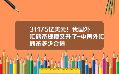 31175亿美元！我国外汇储备规模又升了-中国外汇储备多少合适