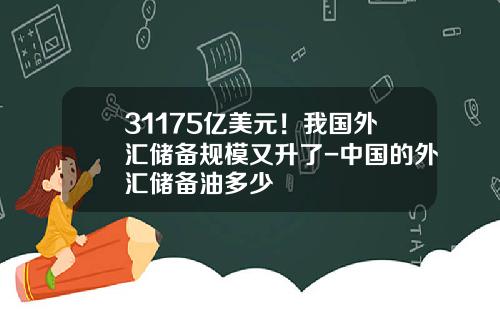 31175亿美元！我国外汇储备规模又升了-中国的外汇储备油多少
