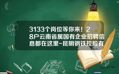 3133个岗位等你来！28户云南省属国有企业招聘信息都在这里-昆明钢铁控股有限公司招聘