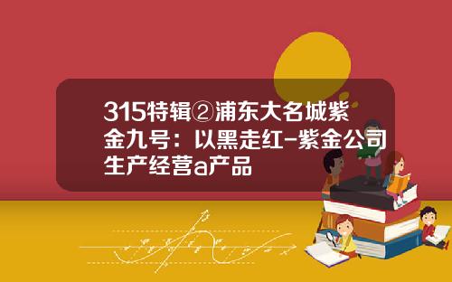 315特辑②浦东大名城紫金九号：以黑走红-紫金公司生产经营a产品