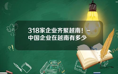318家企业齐聚越南！-中国企业在越南有多少