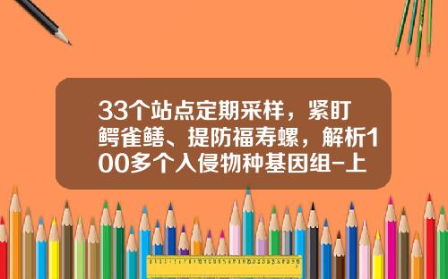 33个站点定期采样，紧盯鳄雀鳝、提防福寿螺，解析100多个入侵物种基因组-上海冠东国际集装箱码头有限公司
