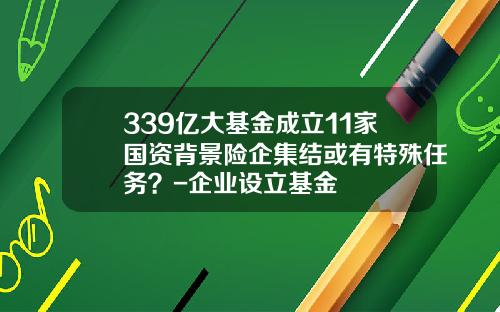 339亿大基金成立11家国资背景险企集结或有特殊任务？-企业设立基金