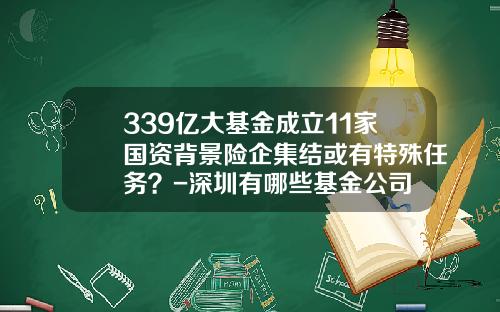 339亿大基金成立11家国资背景险企集结或有特殊任务？-深圳有哪些基金公司
