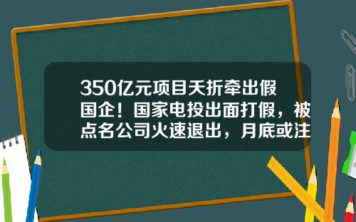 350亿元项目夭折牵出假国企！国家电投出面打假，被点名公司火速退出，月底或注销-中电广通股份有限公司