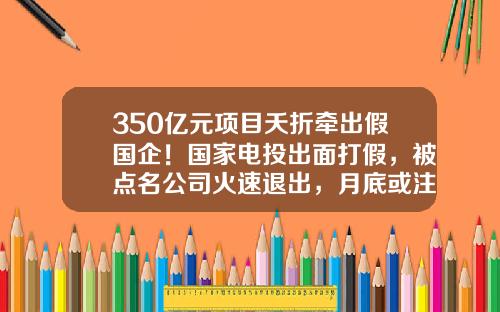 350亿元项目夭折牵出假国企！国家电投出面打假，被点名公司火速退出，月底或注销-北京投资公司停止注册了吗