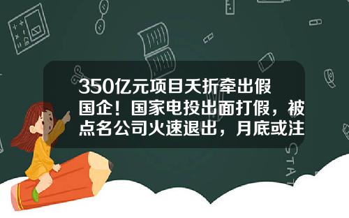 350亿元项目夭折牵出假国企！国家电投出面打假，被点名公司火速退出，月底或注销-原国家电力公司