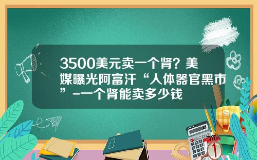 3500美元卖一个肾？美媒曝光阿富汗“人体器官黑市”-一个肾能卖多少钱
