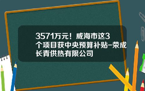 3571万元！威海市这3个项目获中央预算补贴-荣成长青供热有限公司