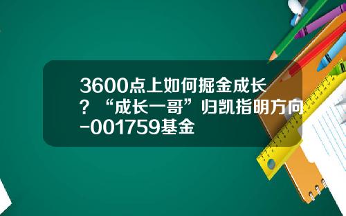 3600点上如何掘金成长？“成长一哥”归凯指明方向-001759基金