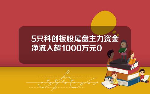 5只科创板股尾盘主力资金净流入超1000万元0