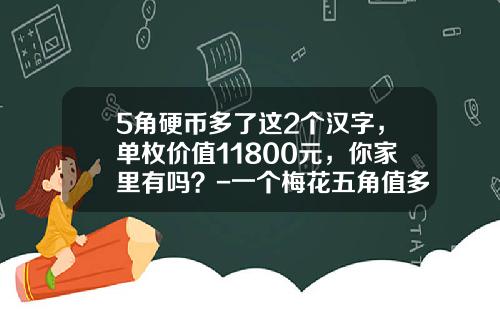 5角硬币多了这2个汉字，单枚价值11800元，你家里有吗？-一个梅花五角值多少钱