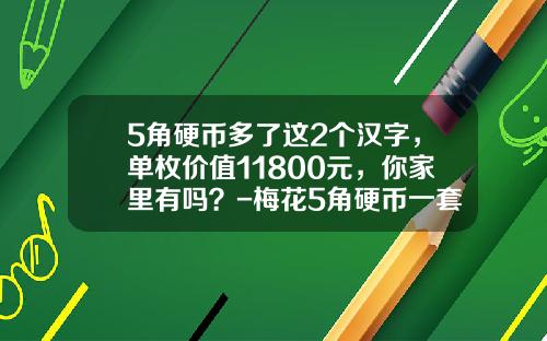 5角硬币多了这2个汉字，单枚价值11800元，你家里有吗？-梅花5角硬币一套多少钱