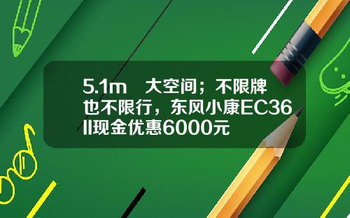 5.1m³大空间；不限牌也不限行，东风小康EC36II现金优惠6000元