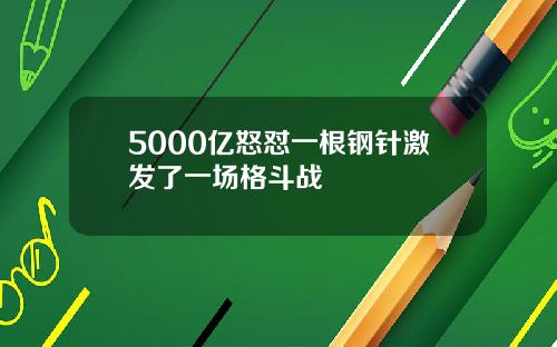 5000亿怒怼一根钢针激发了一场格斗战