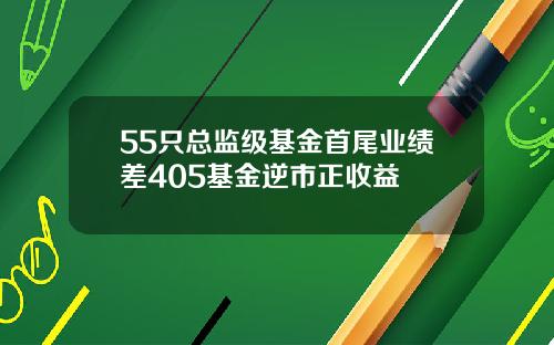 55只总监级基金首尾业绩差405基金逆市正收益