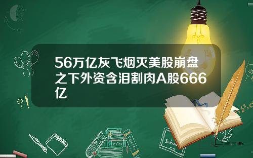 56万亿灰飞烟灭美股崩盘之下外资含泪割肉A股666亿