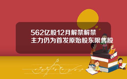 562亿股12月解禁解禁主力仍为首发原始股东限售股