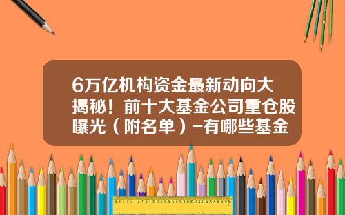 6万亿机构资金最新动向大揭秘！前十大基金公司重仓股曝光（附名单）-有哪些基金公司