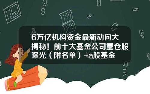 6万亿机构资金最新动向大揭秘！前十大基金公司重仓股曝光（附名单）-a股基金