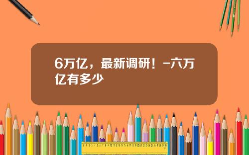 6万亿，最新调研！-六万亿有多少