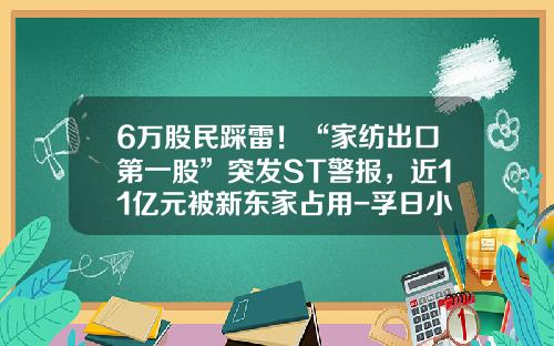 6万股民踩雷！“家纺出口第一股”突发ST警报，近11亿元被新东家占用-孚日小额贷款公司