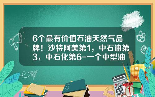 6个最有价值石油天然气品牌！沙特阿美第1，中石油第3，中石化第6-一个中型油田估值是多少