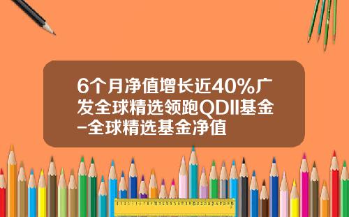 6个月净值增长近40%广发全球精选领跑QDII基金-全球精选基金净值