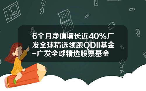 6个月净值增长近40%广发全球精选领跑QDII基金-广发全球精选股票基金