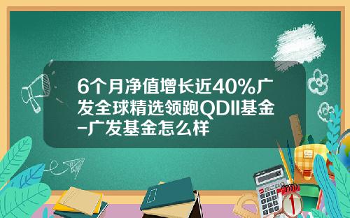 6个月净值增长近40%广发全球精选领跑QDII基金-广发基金怎么样