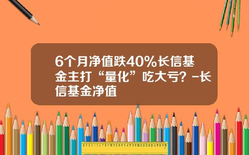 6个月净值跌40%长信基金主打“量化”吃大亏？-长信基金净值